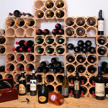 فندق Boe Sport And Nature أرابّا